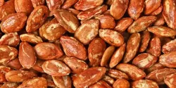خواص تخمه ژاپنی در طب سنتی برای لاغری و مضرات آن