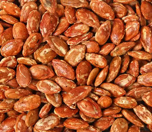 خواص تخمه ژاپنی در طب سنتی برای لاغری و مضرات آن