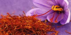 خواص زعفران در طب سنتی برای لاغری و مضرات آن