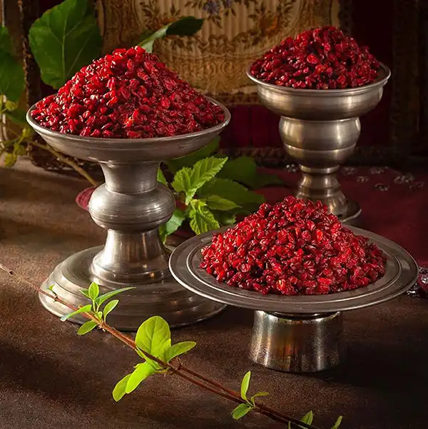 خواص زرشک در طب سنتی برای لاغری و مضرات آن