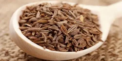 خواص زیره در طب سنتی برای لاغری و مضرات آن