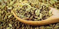 خواص زیره سبز در طب سنتی برای لاغری و مضرات آن