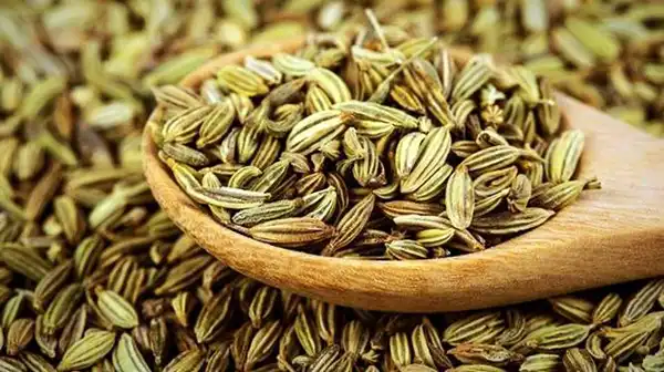 خواص زیره سبز در طب سنتی برای لاغری و مضرات آن