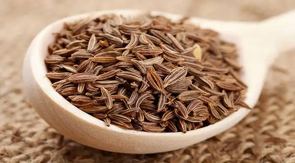 خواص زیره در طب سنتی برای لاغری و مضرات آن