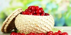 خواص زغال اخته در طب سنتی برای لاغری و مضرات آن