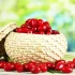 خواص زغال اخته در طب سنتی برای لاغری و مضرات آن
