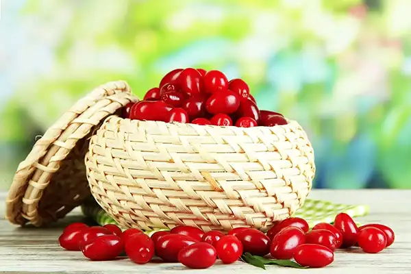 خواص زغال اخته در طب سنتی برای لاغری و مضرات آن