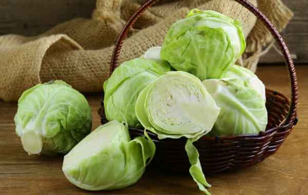 
فواید و مضرات کلم سفید و قرمز
خواص کلم سفید برای کبد
کلم سفید برای عفونت
خواص کلم سفید در طب سنتی
عکس کلم پیچ سفید
خواص کلم سفید پخته
خواص کلم سفید برای معده
عکس کلم سفید