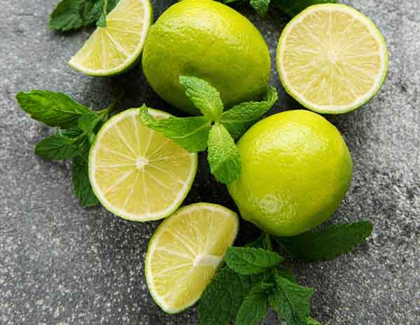 
چه کسانی نباید لیمو ترش بخورند
معجزه لیمو ترش
خواص لیمو ترش قبل از خواب
مضرات لیمو ترش برای قلب
عوارض لیمو ترش برای مردان
مضرات لیمو ترش در چای
عوارض لیمو ترش برای زنان
میزان مصرف لیمو ترش در روز